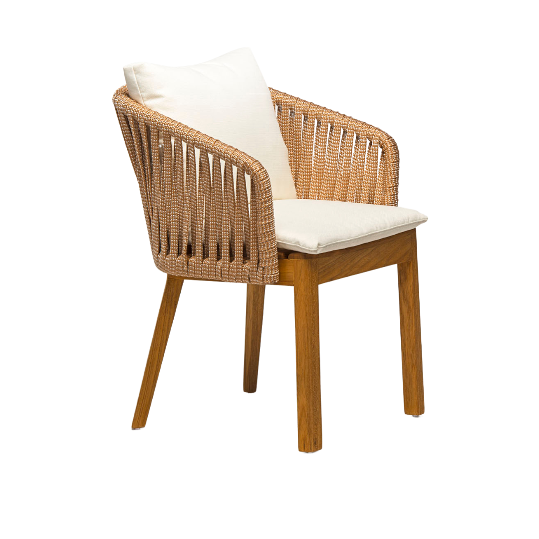 Design sem nome (37)